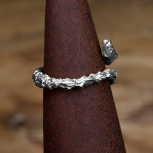 Load image into Gallery viewer, Silver Twig Ring
